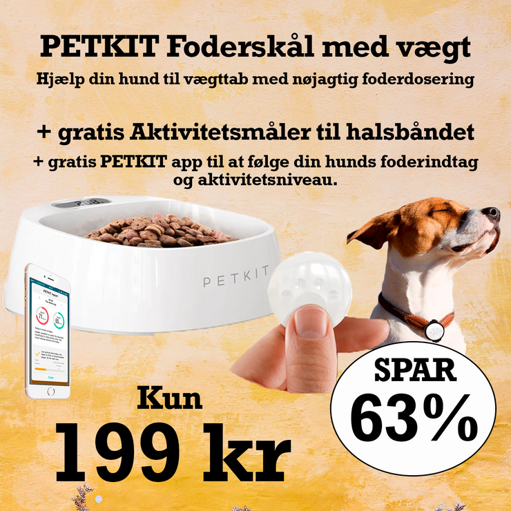 PETKIT foderskål med vægt + gratis Aktivitetstracker til halsbåndet + gratis Petkit app