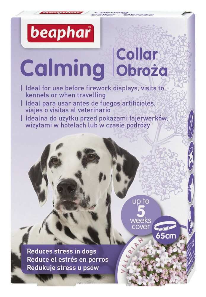 forbruger suge Træde tilbage Beaphar Calming Collar - Beroligende halsbånd til hund (dog) – Petnet