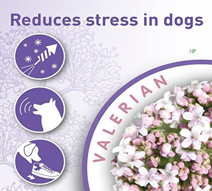 Beaphar No stress Calming - Diffuser Refill 30ml til hund