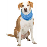 Active Canis Kølende bandana til din hund